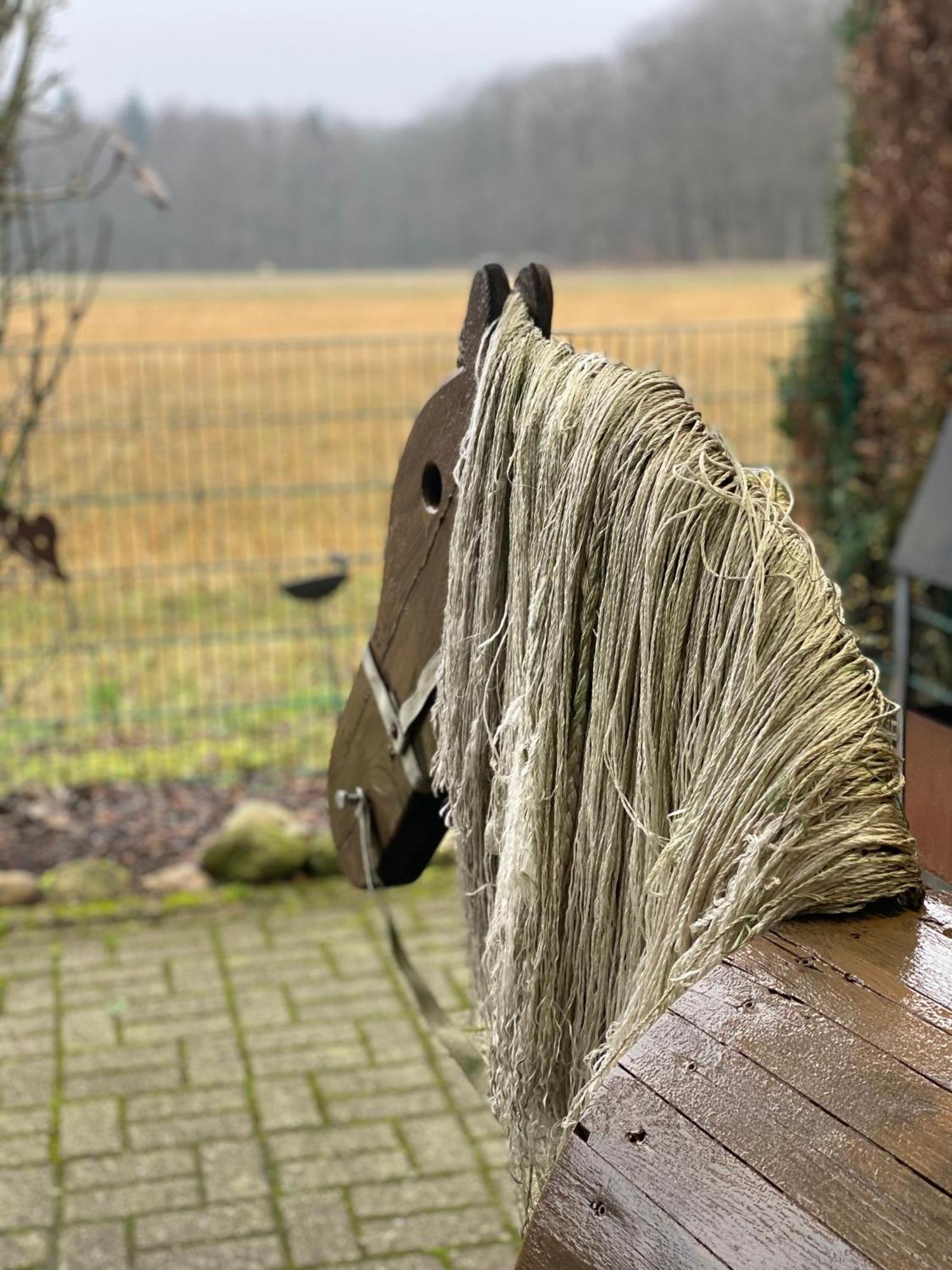 Schoene Auszeit Re14 Sögel Eksteriør billede